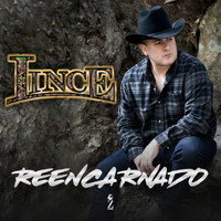 Lince - Reencarnado