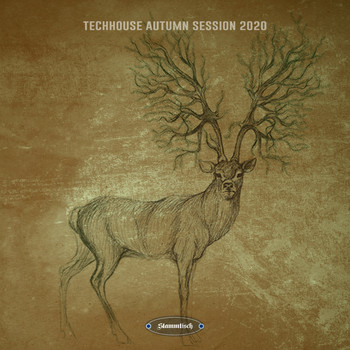 Various Artists - Techhouse Autumn Session 2020