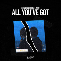 Ludvigsson - All You've Got