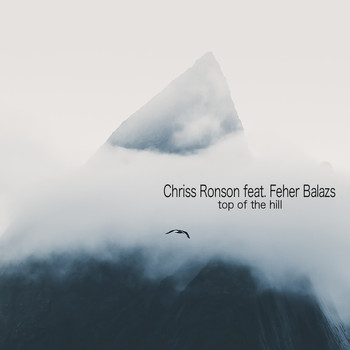 Chriss Ronson - Top of the Hill