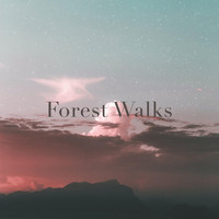 Forest Walks - Revelation