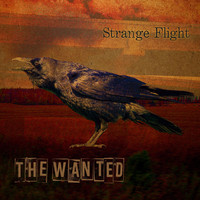 The Wanted - Strange Flight