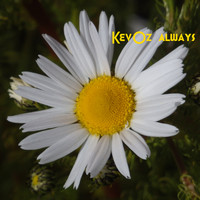 KevOz - Always
