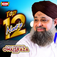 Alhaaj Muhammad Owais Raza Qadri - Top 12 Naats
