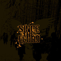 Since The Flood - Valor and Vengeance (Explicit)