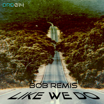 Bob Remis - Like We Do