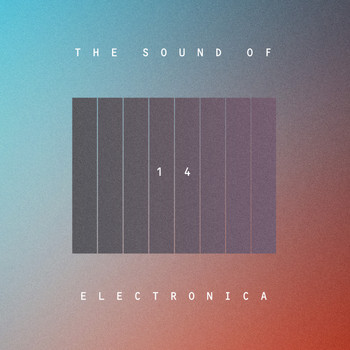 Various Artists - The Sound Of Electronica, Vol. 14 (Explicit)