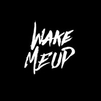 Harrisons - Wake Me Up