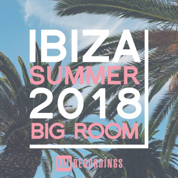 Various Artists - Ibiza Summer 2018 Big Room