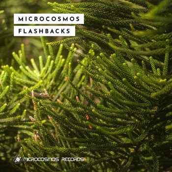 Various Artists - Microcosmos Flashbacks