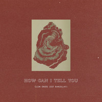 Clem Snide and Eef Barzelay - How Can I Tell You