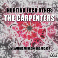 The Carpenters - Hurting Each Other (Live)