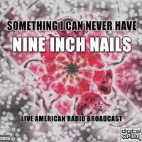 Nine Inch Nails - Something I Can Never Have (Live)
