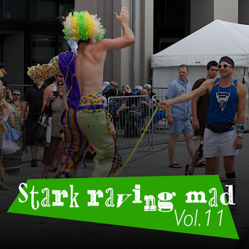 Various Artists - Stark Raving Mad, Vol. 11