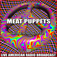 Meat Puppets - High Enough To Fly (Live)