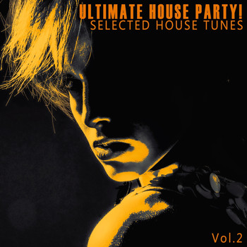 Various Artists - Ultimate House Party! - Vol.2