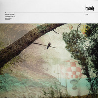Adrian Niculae - Fundamental