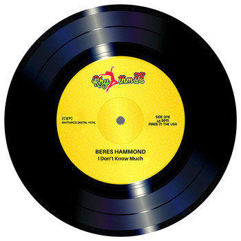 Beres Hammond - I Don't Know Much