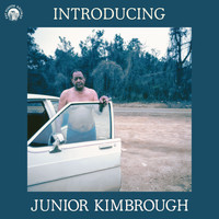 Junior Kimbrough - Introducing Junior Kimbrough