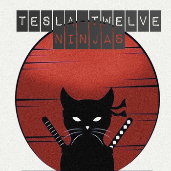 Tesla - Twelve Ninjas