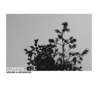 Archae & Grovskopa - Elementia