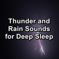 Relax & Relax - Thunder and Rain Sounds for Deep Sleep
