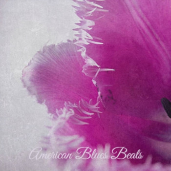 Various Artist - American Blues Beats
