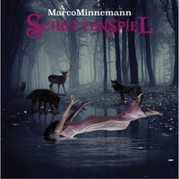 Marco Minnemann - Schattenspiel