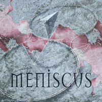 Meniscus - Meniscus