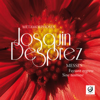 Ensemble Métamorphoses - Faysant regretz et Sine nomine, Vol. 9