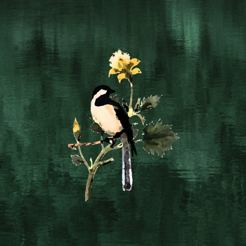 The Seasons - What You Hear in the Hollows