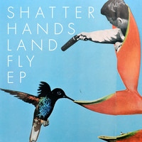 Shatter Hands - Land Fly