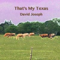 David Joseph - That's My Texas