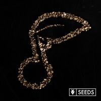 XV - Seeds (Explicit)