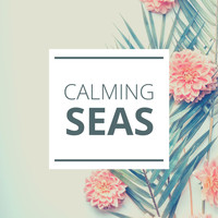 Spa Music Collective - Calming Seas: Relaxing Tropical Island Beach Ambience Sound with Meditation Music