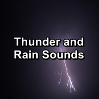 Relaxing Sounds of Nature - Thunder and Rain Sounds