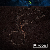 XV - Roots (Explicit)