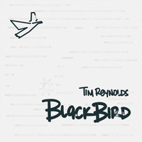 Tim Reynolds - Blackbird