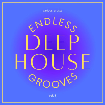 Various Artists - Endless Deep-House Grooves, Vol. 1