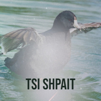 Various Artist - Tsi Shpait