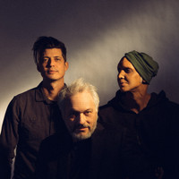 Marc Ribot's Ceramic Dog - The Activist