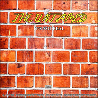 The Untamed - It's Not Real (Live)