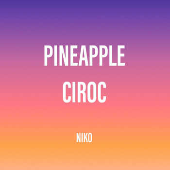 Niko - Pineapple Ciroc (Explicit)