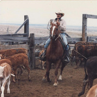 Wentworth Kersey - Hanna Ranch