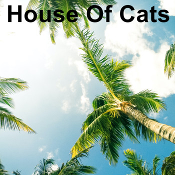 Nicola Cole - House of Cats