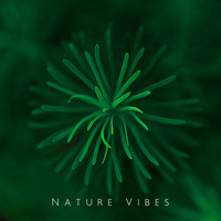 Calm Singing Birds Zone - Nature Vibes: Relaxing Sounds for Meditation, Studying or Sleeping & 8D Audio Music