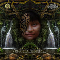 Snapgon - Orphic Mysteries Visionary Shamanics Rec