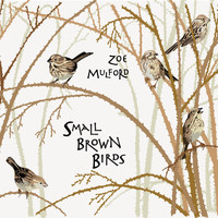 Zoe Mulford - Small Brown Birds