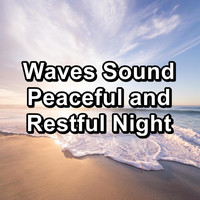Dr. Meditation - Waves Sound Peaceful and Restful Night