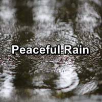 Relaxing Sounds of Nature - Peaceful Rain